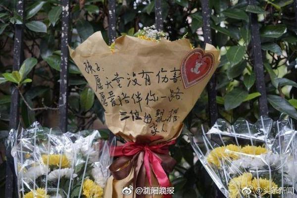 麦迪：甜瓜应该拿年度最佳新秀 因为他带队进入了季后赛